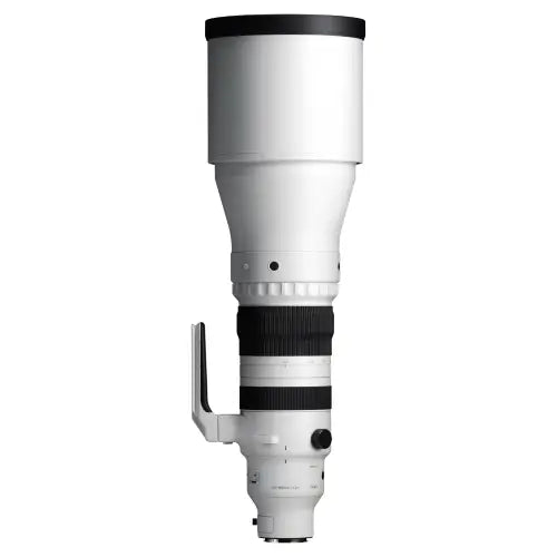Sigma 300-600mm f/4 DG OS Sports Lens (L-Mount)