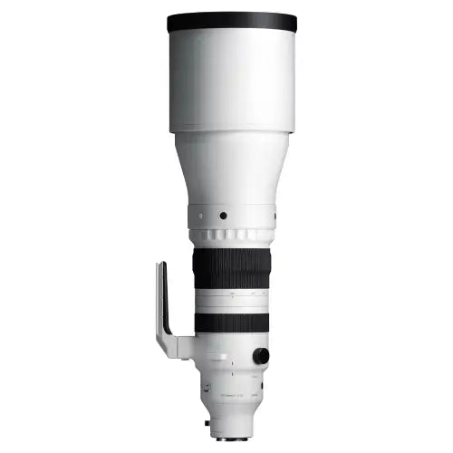 Sigma 300-600mm f/4 DG OS Sports Lens (L-Mount)