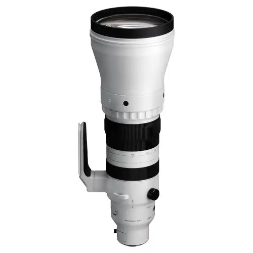 Sigma 300-600mm f/4 DG OS Sports Lens (L-Mount)