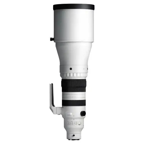 Sigma 300-600mm f/4 DG OS Sports Lens (L-Mount)