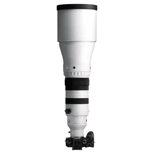 Sigma 300-600mm f/4 DG OS Sports Lens (L-Mount)