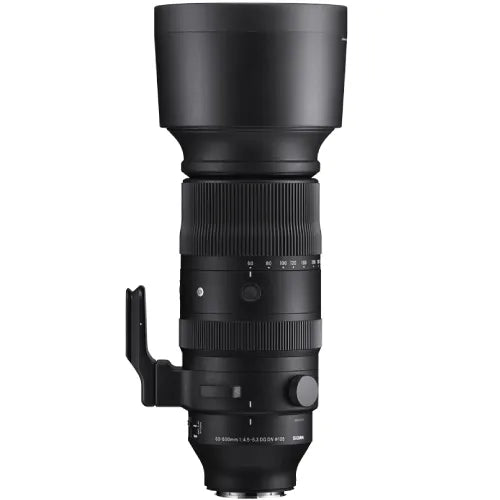Sigma 60-600mm f/4.5-6.3 DG DN OS Sports Lens (Sony E)