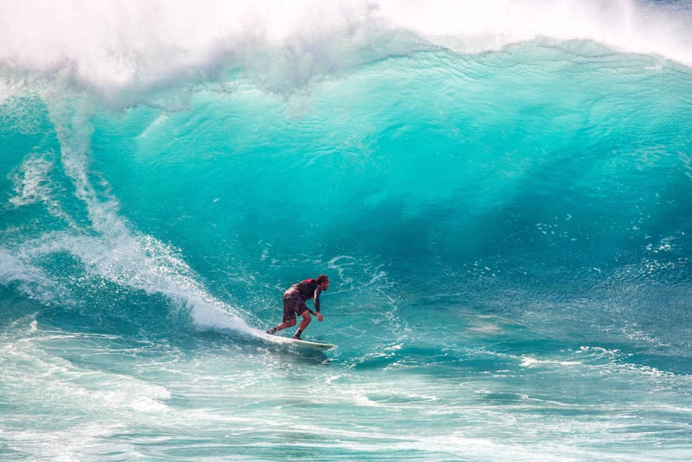 The Art of Surf Photography