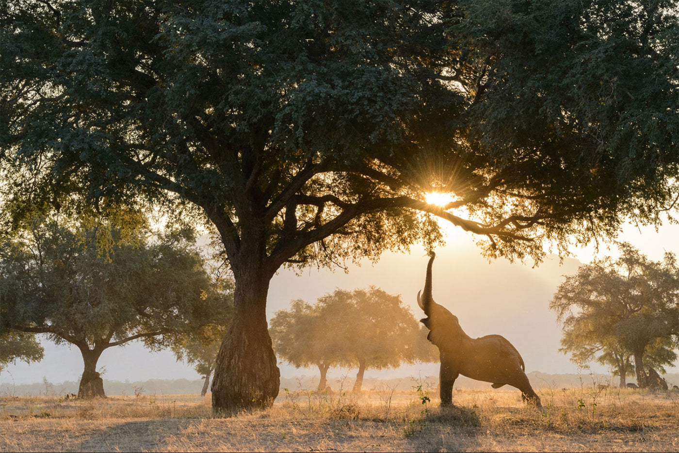 Featured Nature Photographers at Wild Shots 2015, Part 1