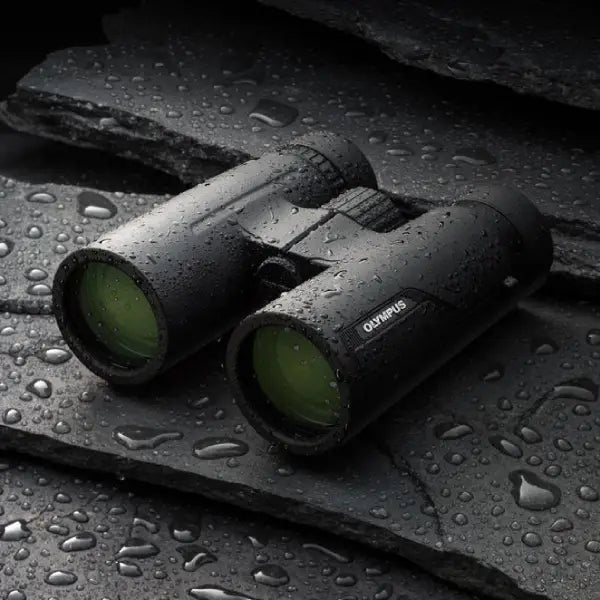 Olympus 10x42 Pro Binoculars