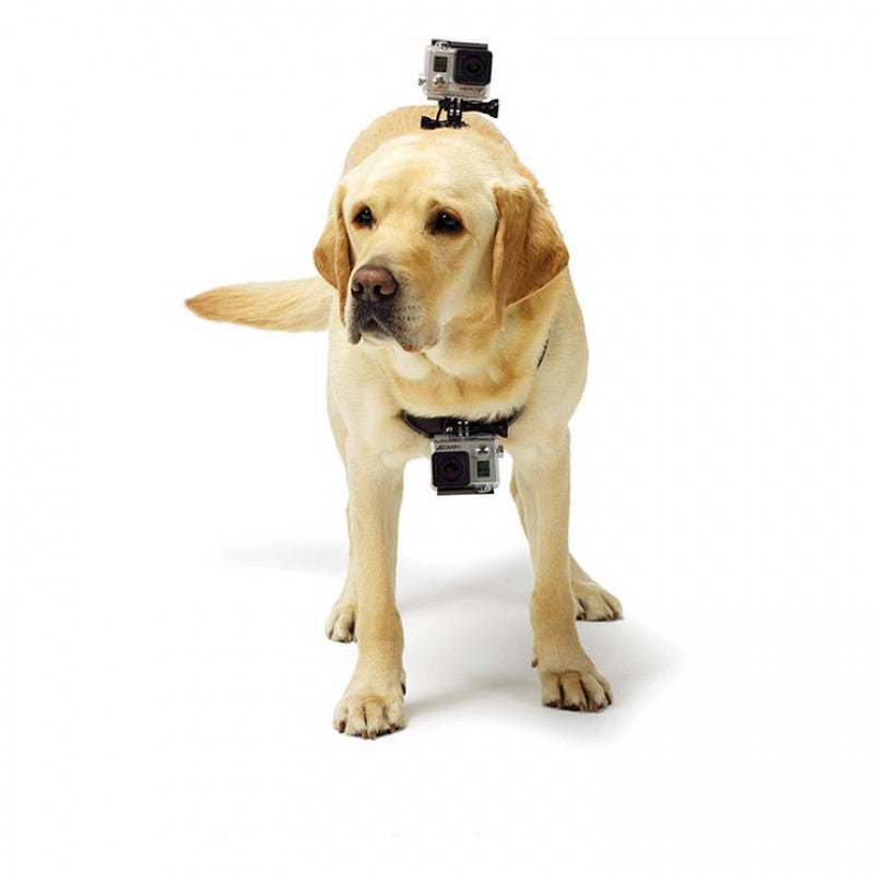 GoPro Fetch Dog Harness