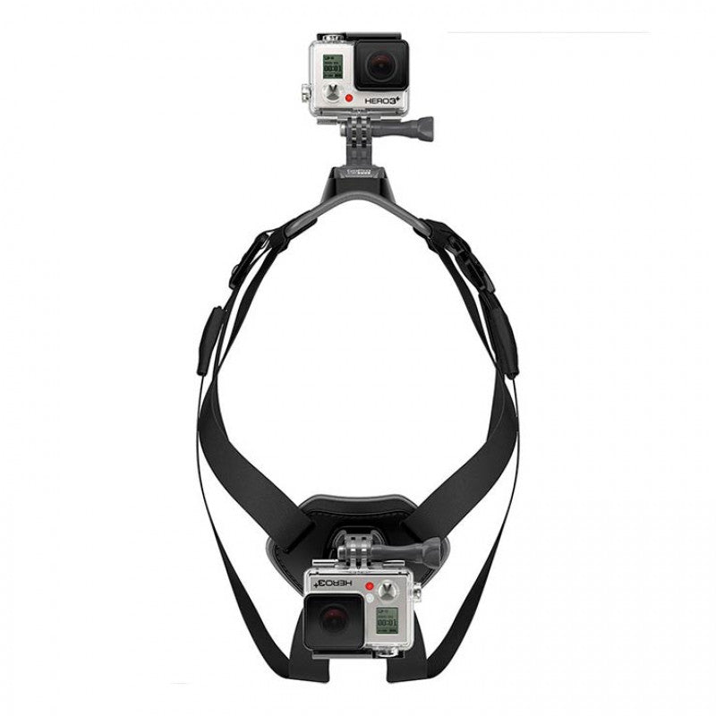 GoPro Fetch Dog Harness