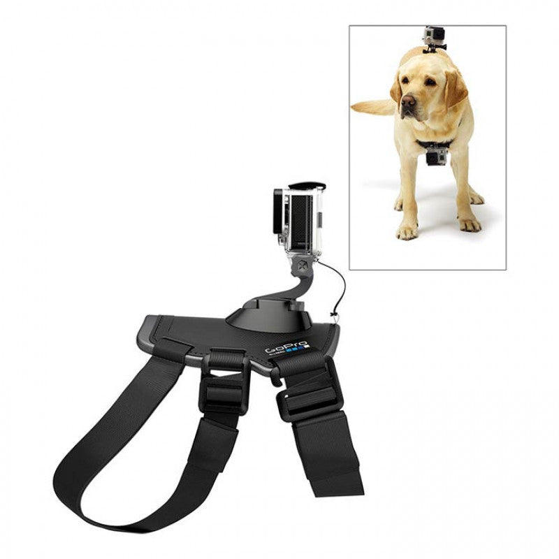 GoPro Fetch Dog Harness